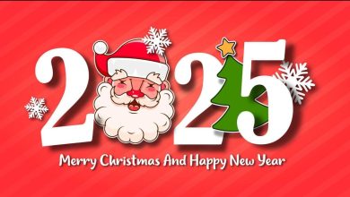 Merry Christmas and Happy New Year 2025